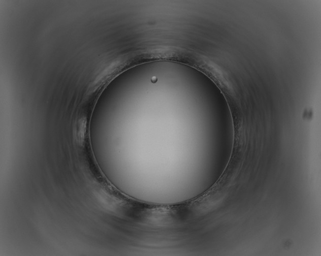 X0000091530118200708241720