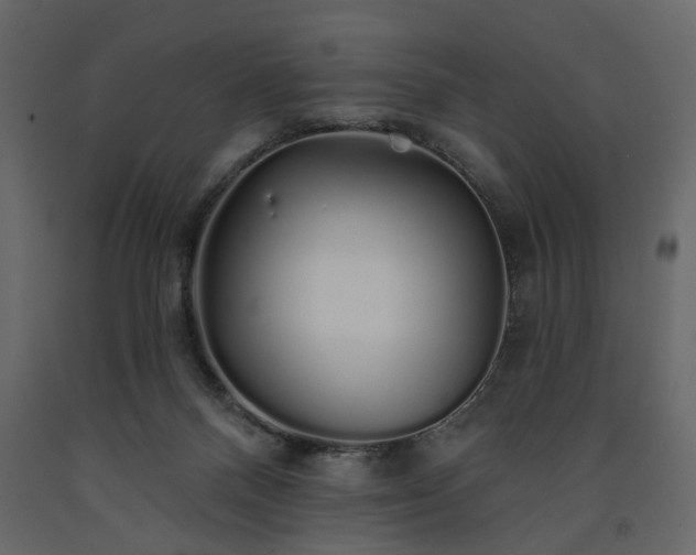 X0000091530120200708241720