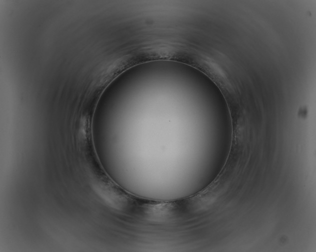 X0000091530122200708241720