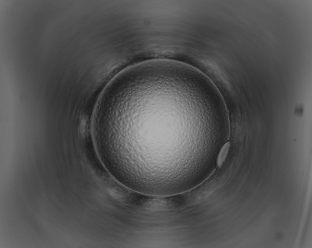 X0000091530123200708241720
