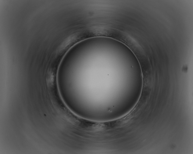 X0000091530124200708241720