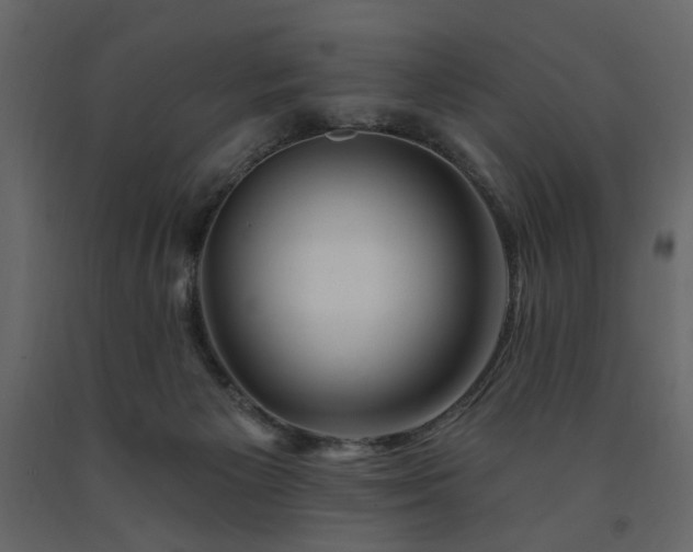 X0000091530125200708241720