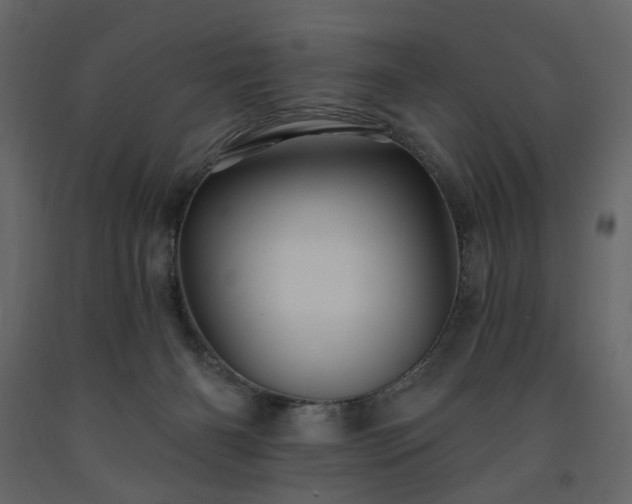 X0000091530126200708241720