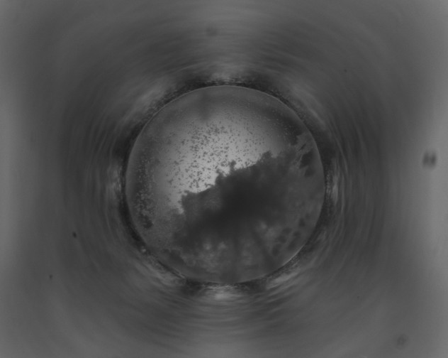 X0000091530127200708241720