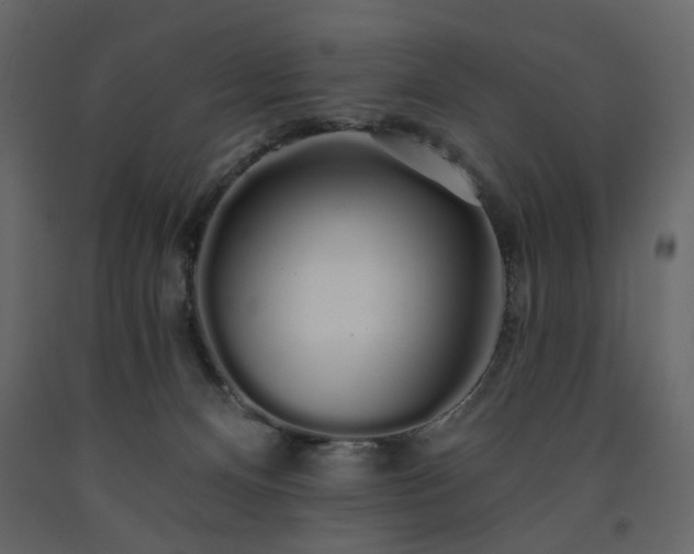 X0000091530128200708241720