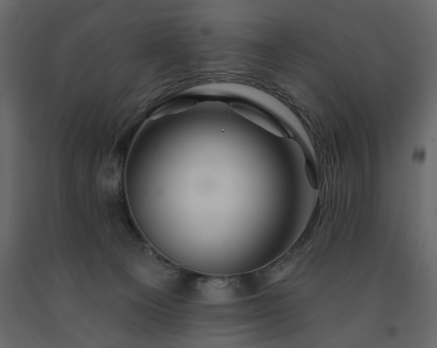 X0000091530129200708241720