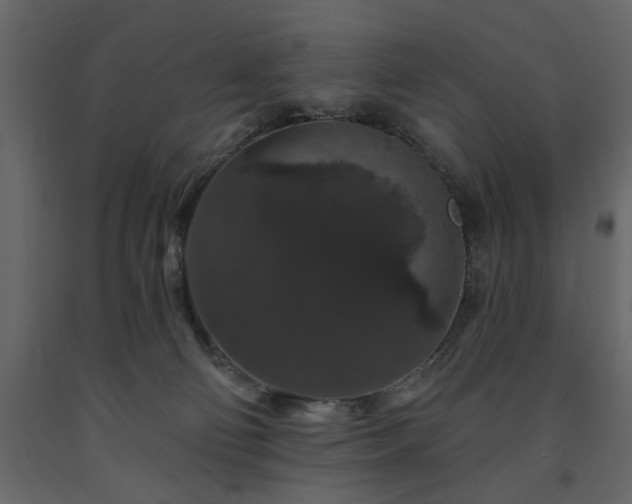 X0000091530130200708241720