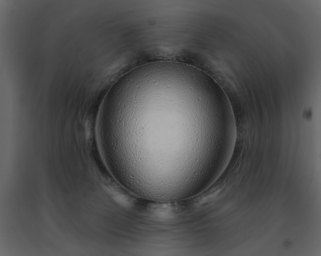 X0000091530131200708241720