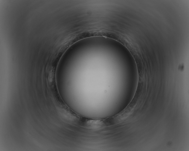 X0000091530133200708241720