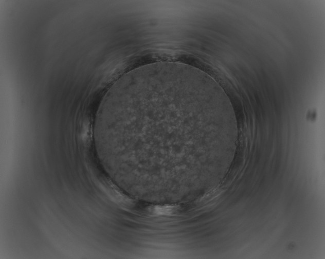 X0000091530134200708241720