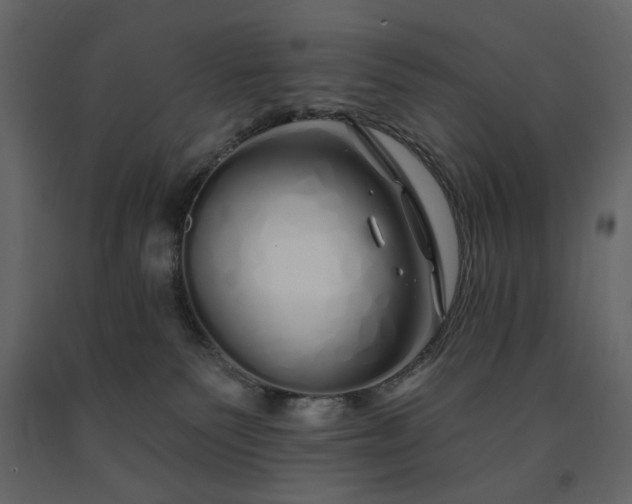 X0000091530135200708241720