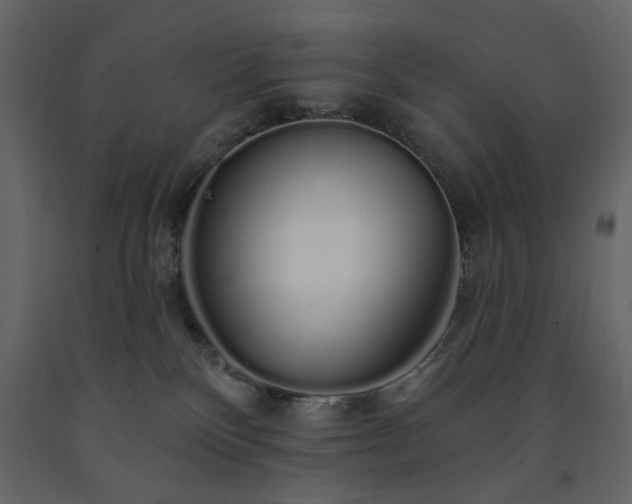 X0000091530136200708241720