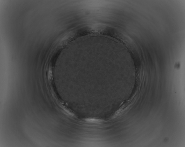 X0000091530137200708241720