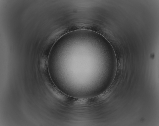 X0000091530138200708241720
