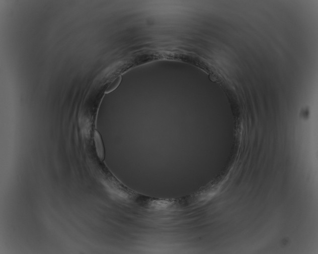 X0000091530139200708241720