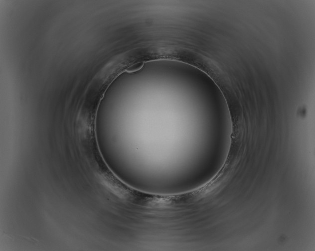X0000091530140200708241720