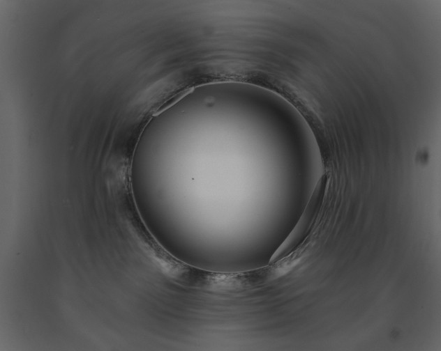 X0000091530141200708241720