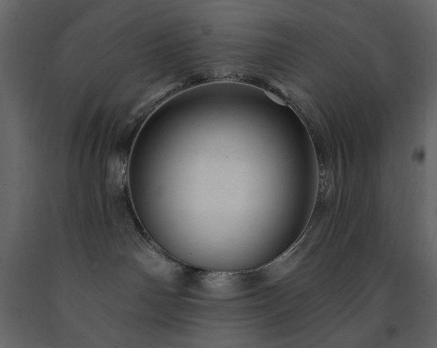 X0000091530142200708241720