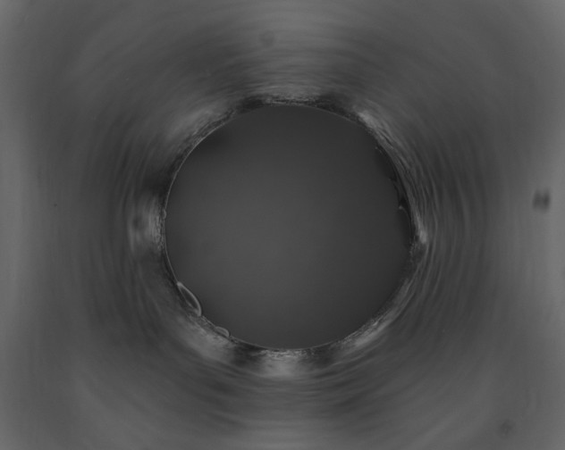 X0000091530143200708241720