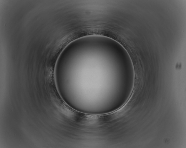 X0000091530144200708241720