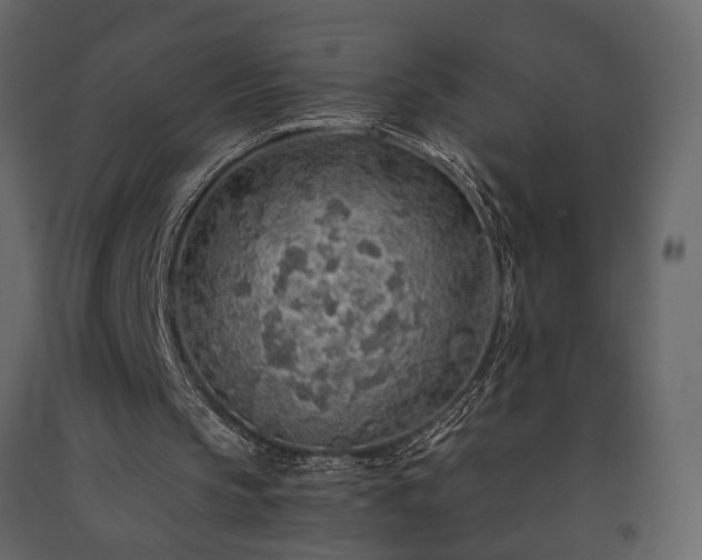 X0000091530145200708241719