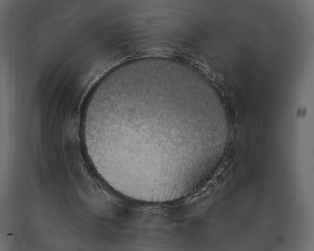 X0000091530146200708241719