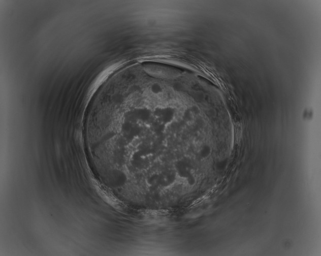 X0000091530147200708241719