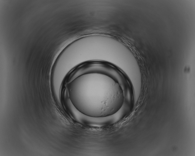 X0000091530148200708241719