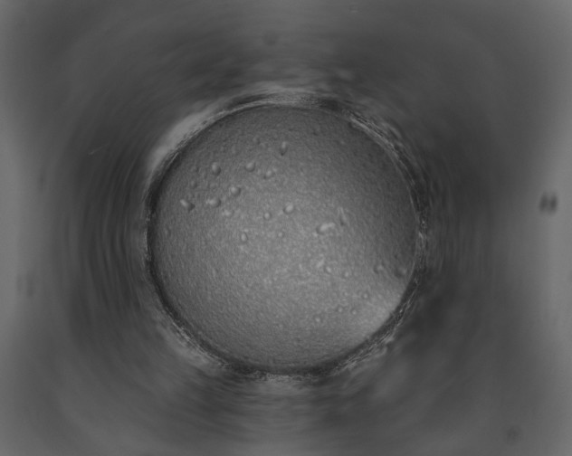 X0000091530149200708241719