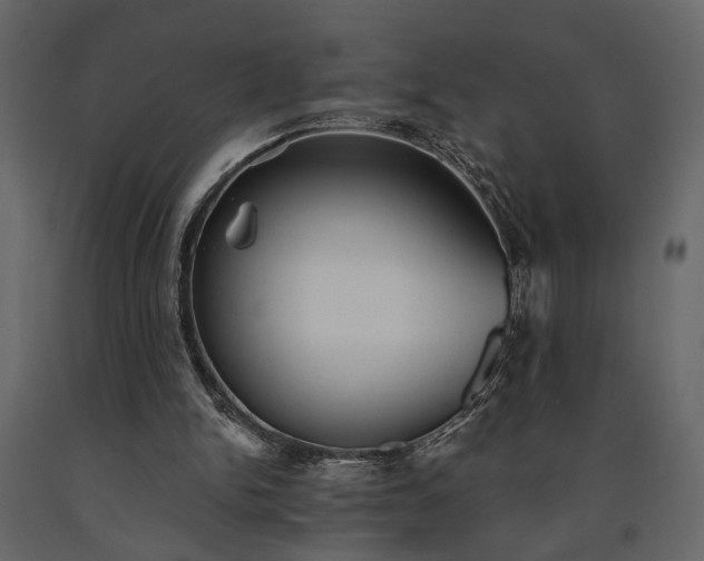 X0000091530150200708241719