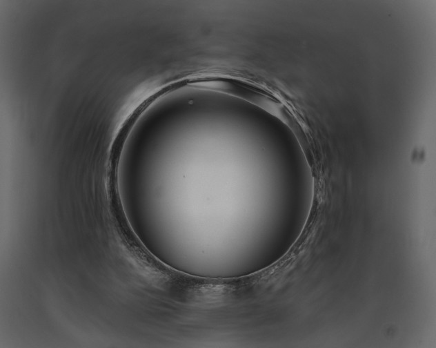 X0000091530152200708241719