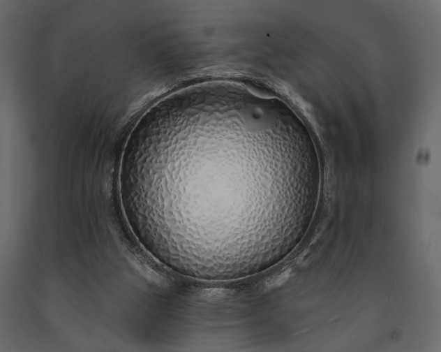 X0000091530153200708241719