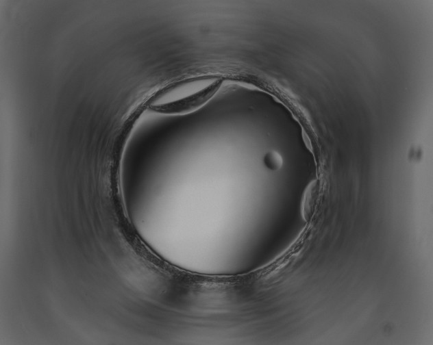 X0000091530154200708241719