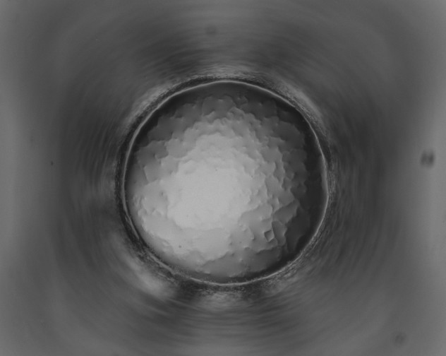 X0000091530155200708241719