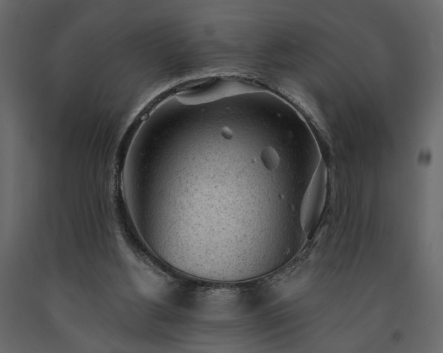 X0000091530156200708241719
