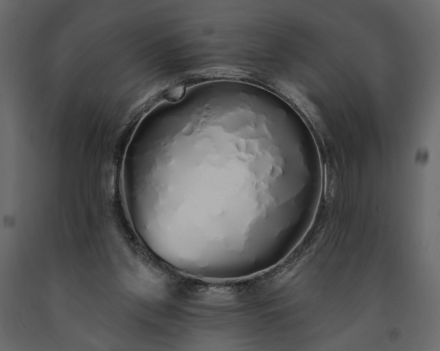 X0000091530157200708241719