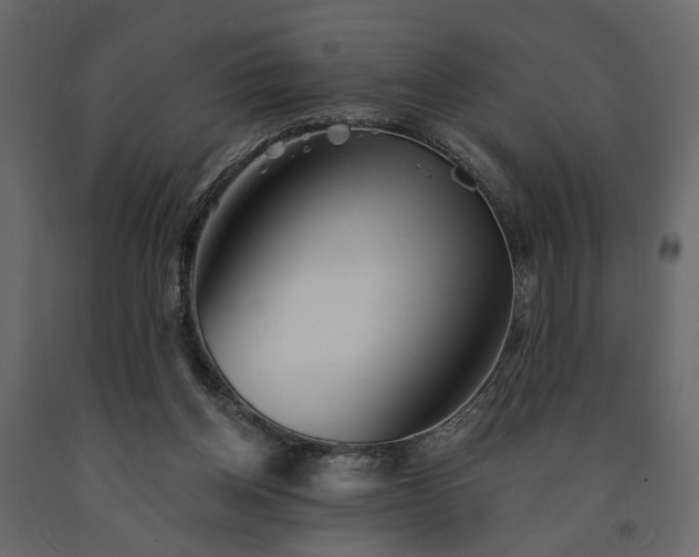 X0000091530158200708241719