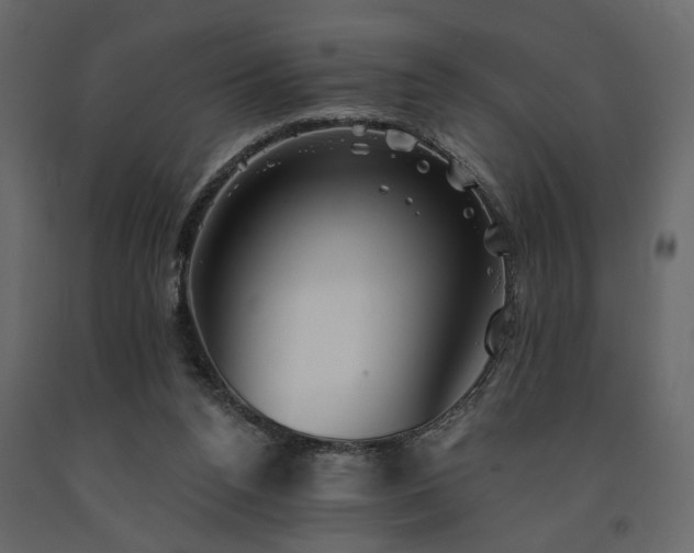 X0000091530160200708241719