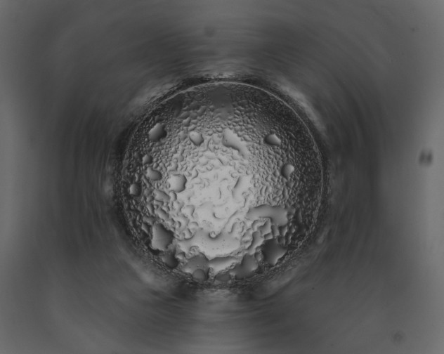 X0000091530161200708241719