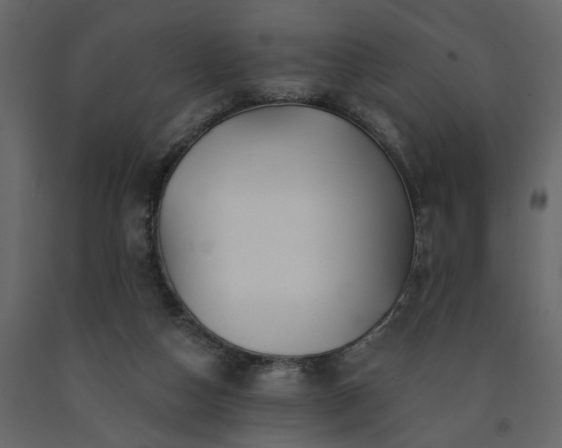 X0000091530162200708241719