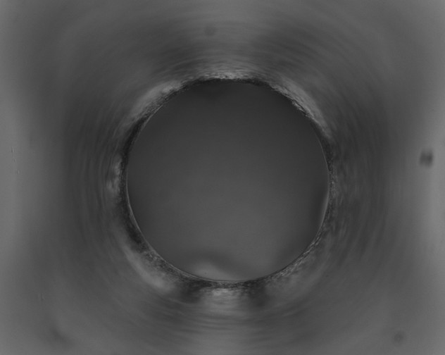 X0000091530163200708241719