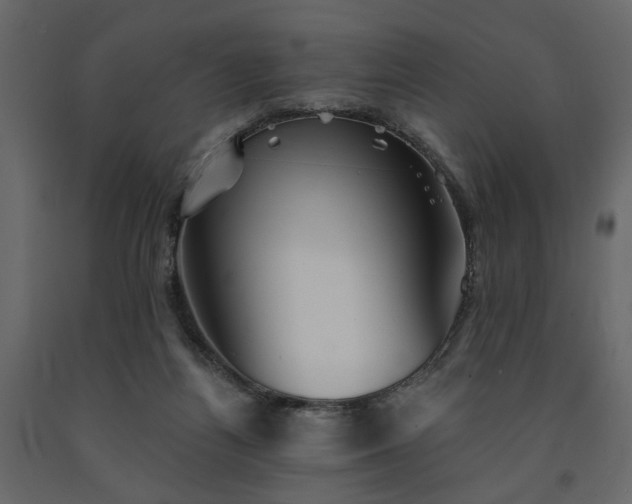 X0000091530164200708241719