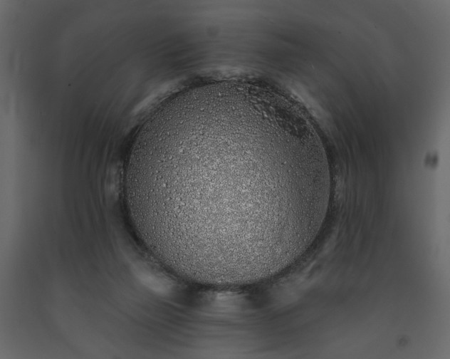 X0000091530165200708241719