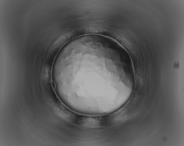X0000091530166200708241719