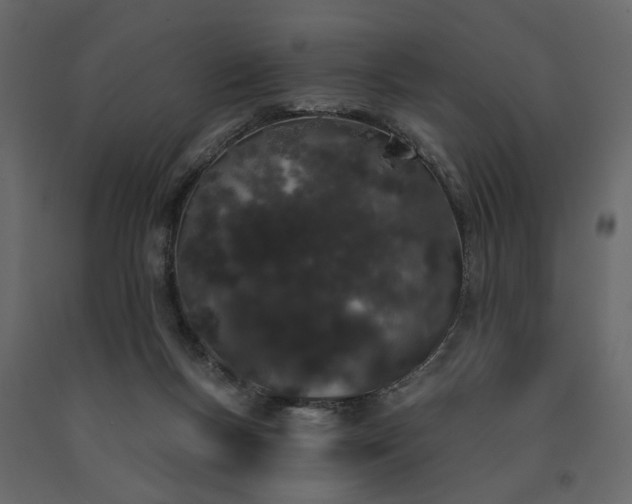 X0000091530167200708241719