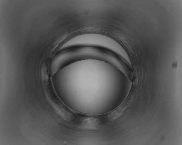 X0000091530168200708241719