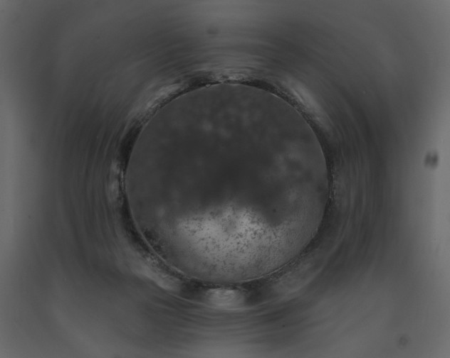 X0000091530169200708241719