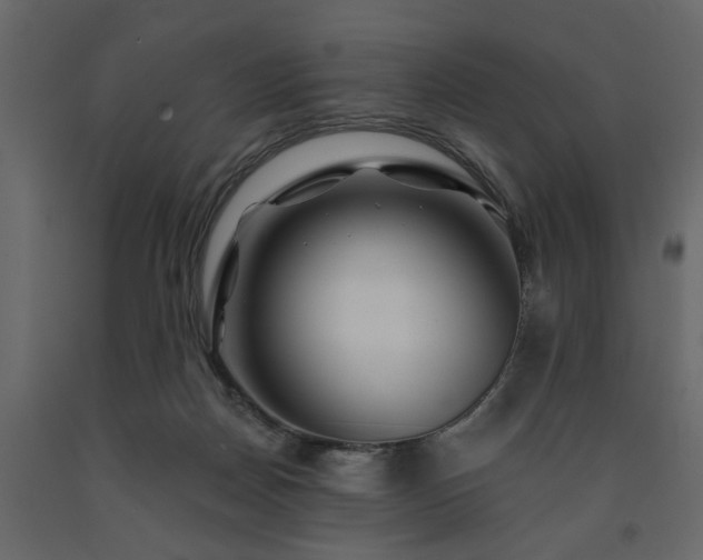 X0000091530170200708241719