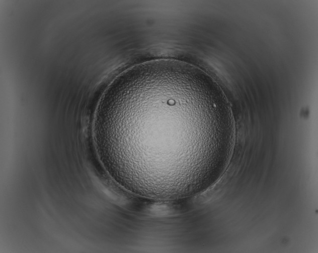 X0000091530171200708241719