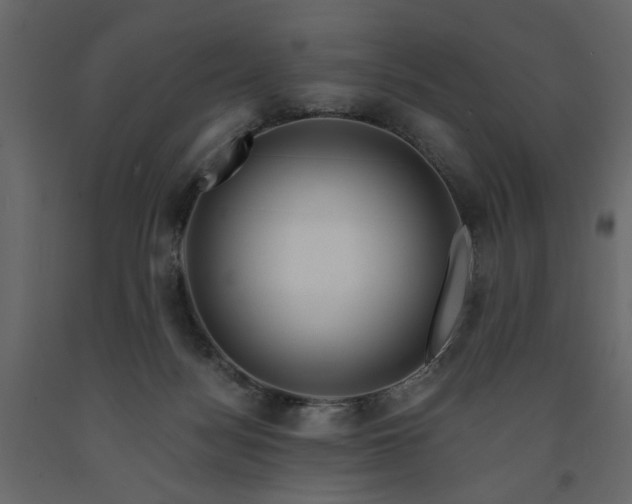 X0000091530172200708241719